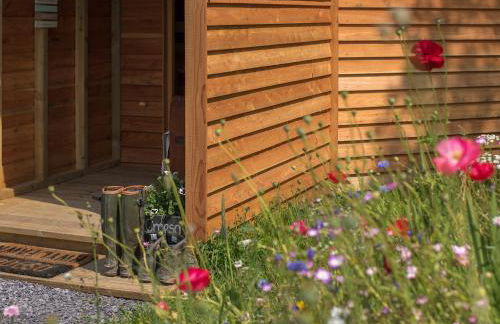 Dol Y Mynydd The Mountain Meadow - Cottage - Photo 24