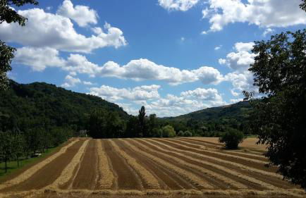 Elena Paternoster - Foto 12