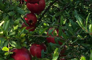 Casa Karina Sun&Pool&Relax - Foto 59