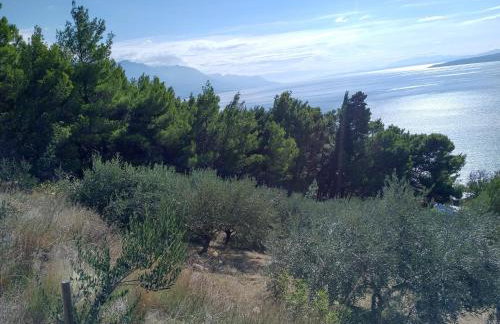 Luxury Apartments Villa Opera - Foto 79