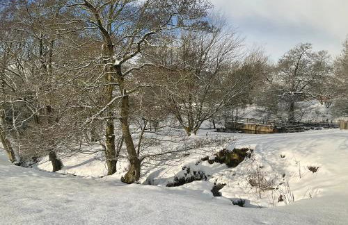 Orchard House - Foto 34