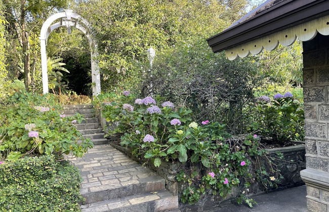 The Blossoms - Photo 38