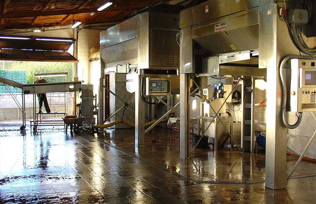 Visita al llagar Sidra JR - Photo 6