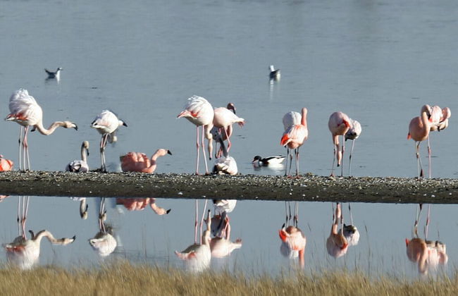 Welcoming Apartment Near Lake - Photo 14