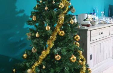 Odori di zagara - Foto 27