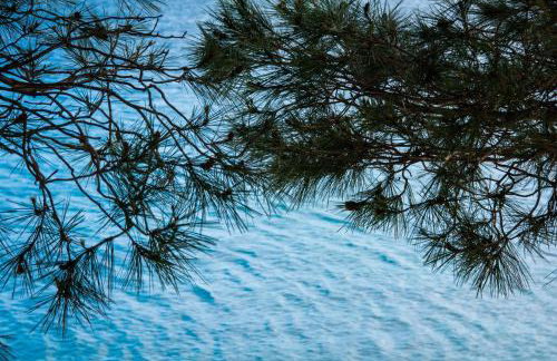 Holiday Home Dubi - Foto 24