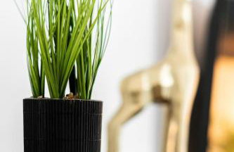 Stylish Birmingham Apartment For Groups, Family & Work - Foto 26