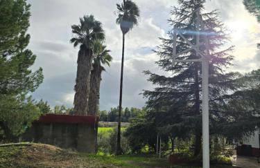 Finca El Palmar - Foto 8