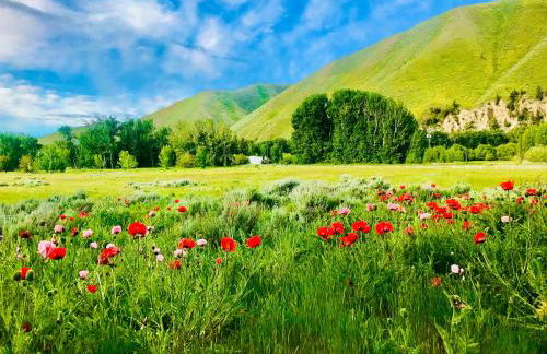 Bear Lodge with private Pool, Hottub, and Sauna! - Photo 43