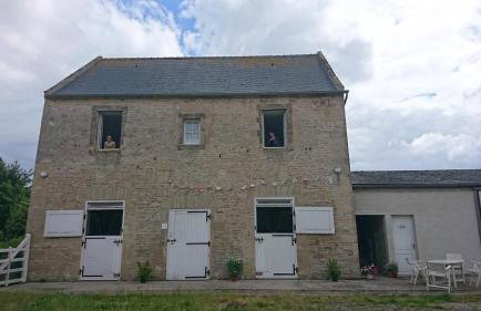 Boutons d'or - Foto 3