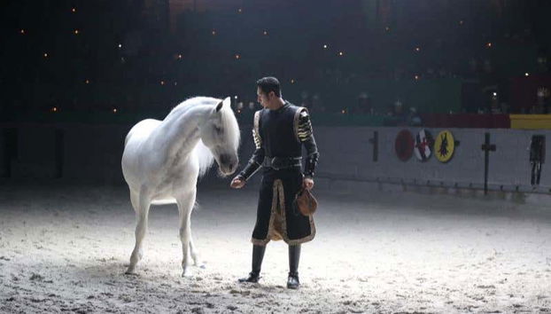 Medieval Times Dinner & Tournament Ticket - Foto 4