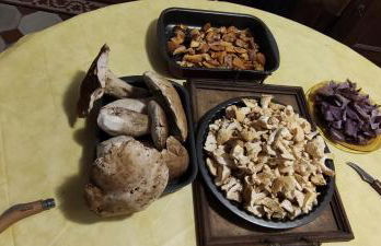 Grande Maison Jardin Cours centre Ville Florac - Foto 14