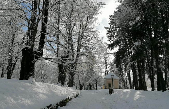 Pet-friendly Mountain Home - Foto 33