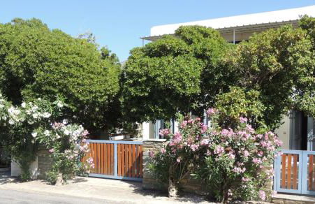 levante studios Αndros - Foto 28