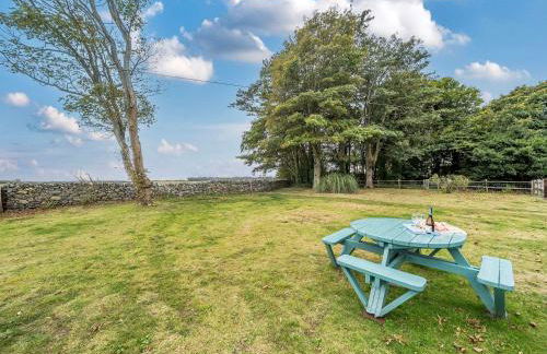 Bodior Garden Cottage Bach - Photo 28