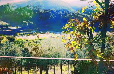 Alqueria De Hurdes - Foto 18