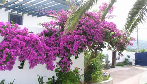 Quinta dos Afectos - Photo 4, Other