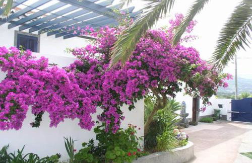 Quinta dos Afectos - Photo 4