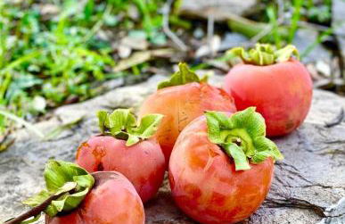 Agriturismo Tenuta della Prea - Appartamento la Stalla - Foto 34