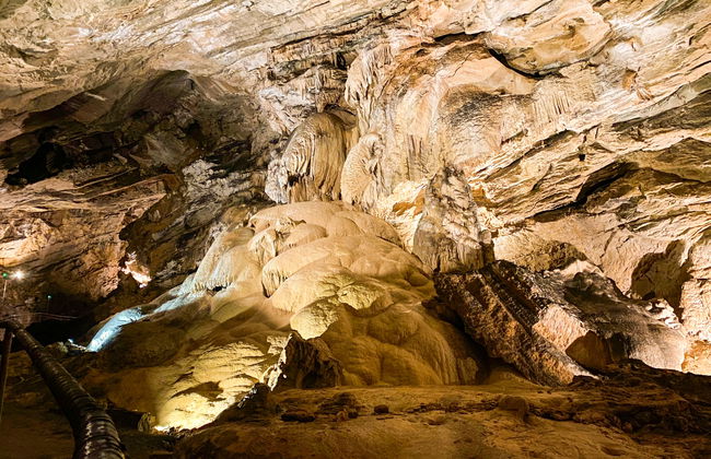 Lady Lavender - Foto 32