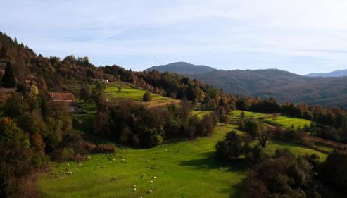 Apartment "Johana" - Foto 3