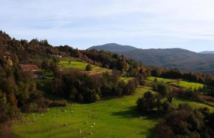 Apartment "Johana" - Foto 3