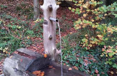 Ferienwohnung am Sulzbach - Photo 10