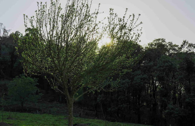 BluSalz Collection Kuriyana Stay, Mussoorie - Foto 14