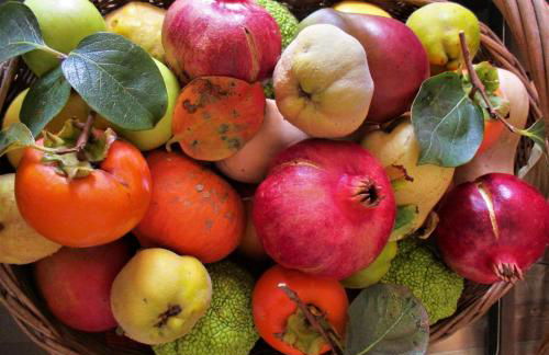 Casa Yvonne - Foto 33