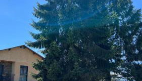 CASAPUEBLO Arzúa - Foto 2