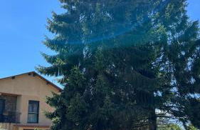 CASAPUEBLO Arzúa - Foto 2