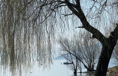 Il Nido Del Colibrì - Foto 27