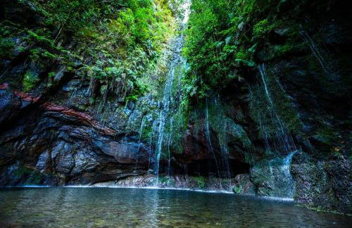 The Jolie - Porto Moniz Central Studios - Foto 72