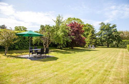 Sturmmöwe - Foto 15