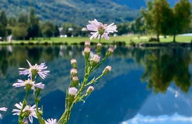 Appartement cosy au bords du lac de Loudenvielle - Foto 25
