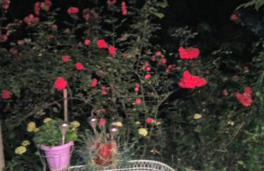 Studio Penelope - Photo 61