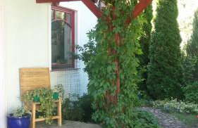 Apartamenty Zielona Góra - Foto 24