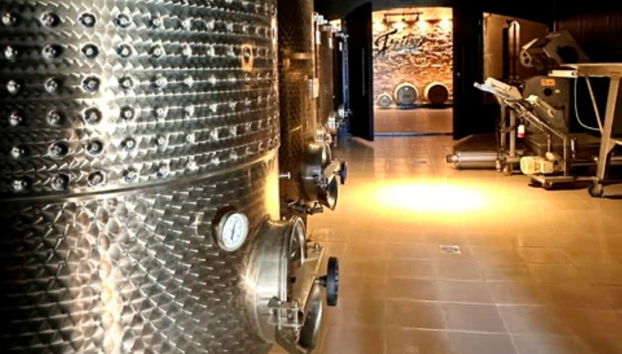 Visite du domaine viticole Fripp - Foto 4