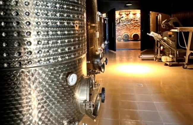 Visite du domaine viticole Fripp - Foto 4