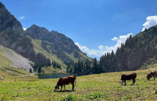 La Ferme du Nant - Portes du Soleil - Photo 28