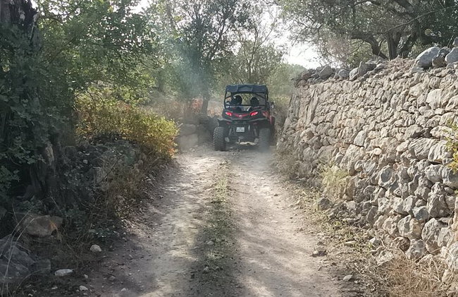 Albufeira Tour fuera de carretera de 3 horas Tour de aventura en buggy - Foto 19