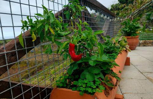 Finca Los Viñedos Verdes - Foto 35