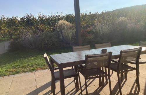 Superbe Maison Jacuzzi+Piscine au cœur des vignes - Foto 21