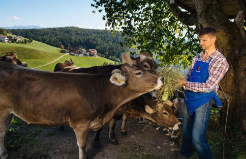 Mair am Graben Farm * Chalets - Foto 29