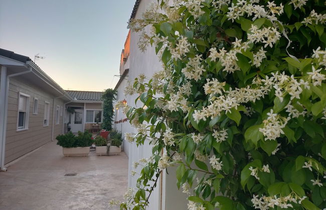 Azafrán Consuegra Casa Rural - Foto 23