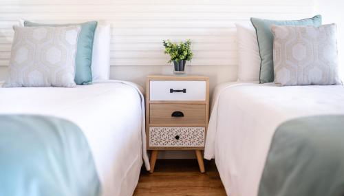 Casa das Rosas - Roses House - Foto 2