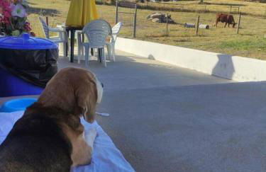 MONTE DO SALTO DA RAPOSA - Foto 26