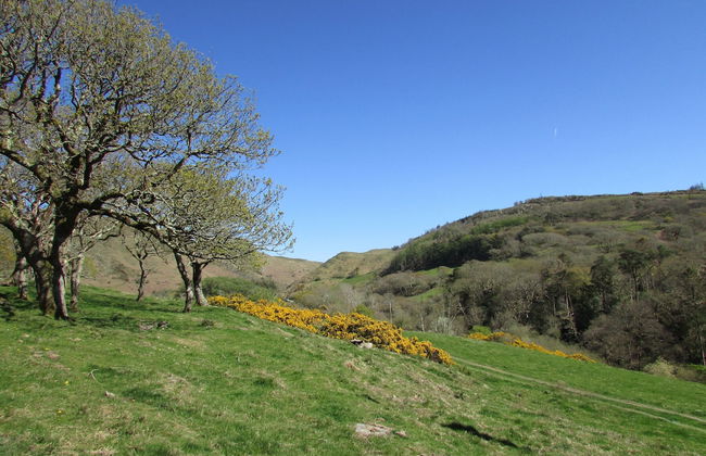 Golygfa'r Cwm - Foto 27