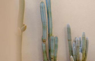 Maison Raphaël studios - Plages, Ville et Gare à Pied - Foto 22