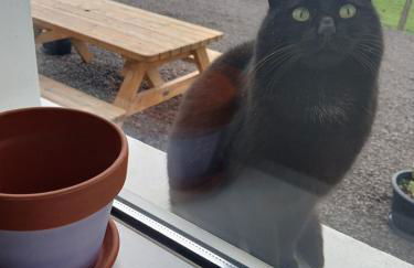 Bramble Cottage - Foto 34